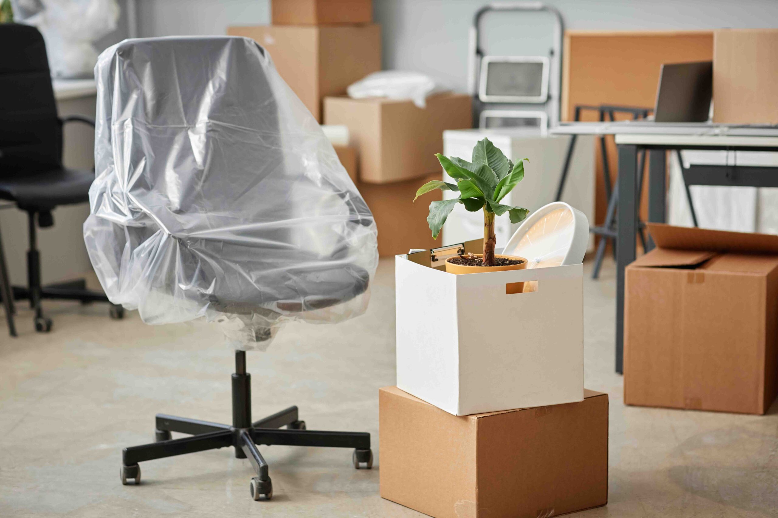 Unboxing productivity: The ultimate guide to smooth office relocations